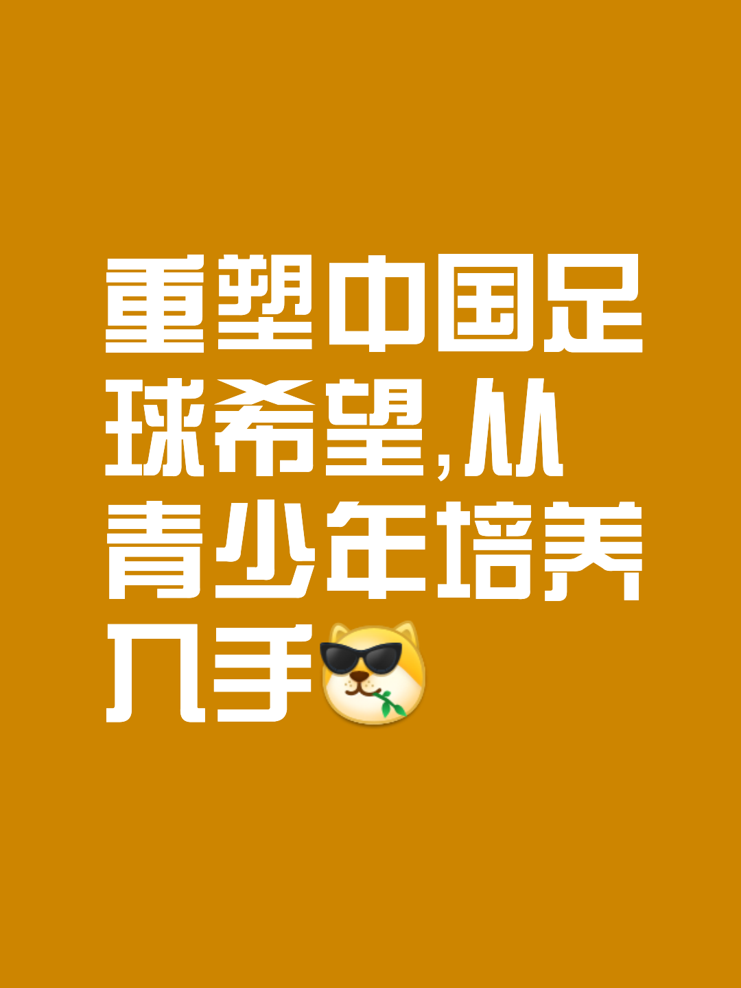 脚下技术优势，国内球品振奋已久的简单介绍